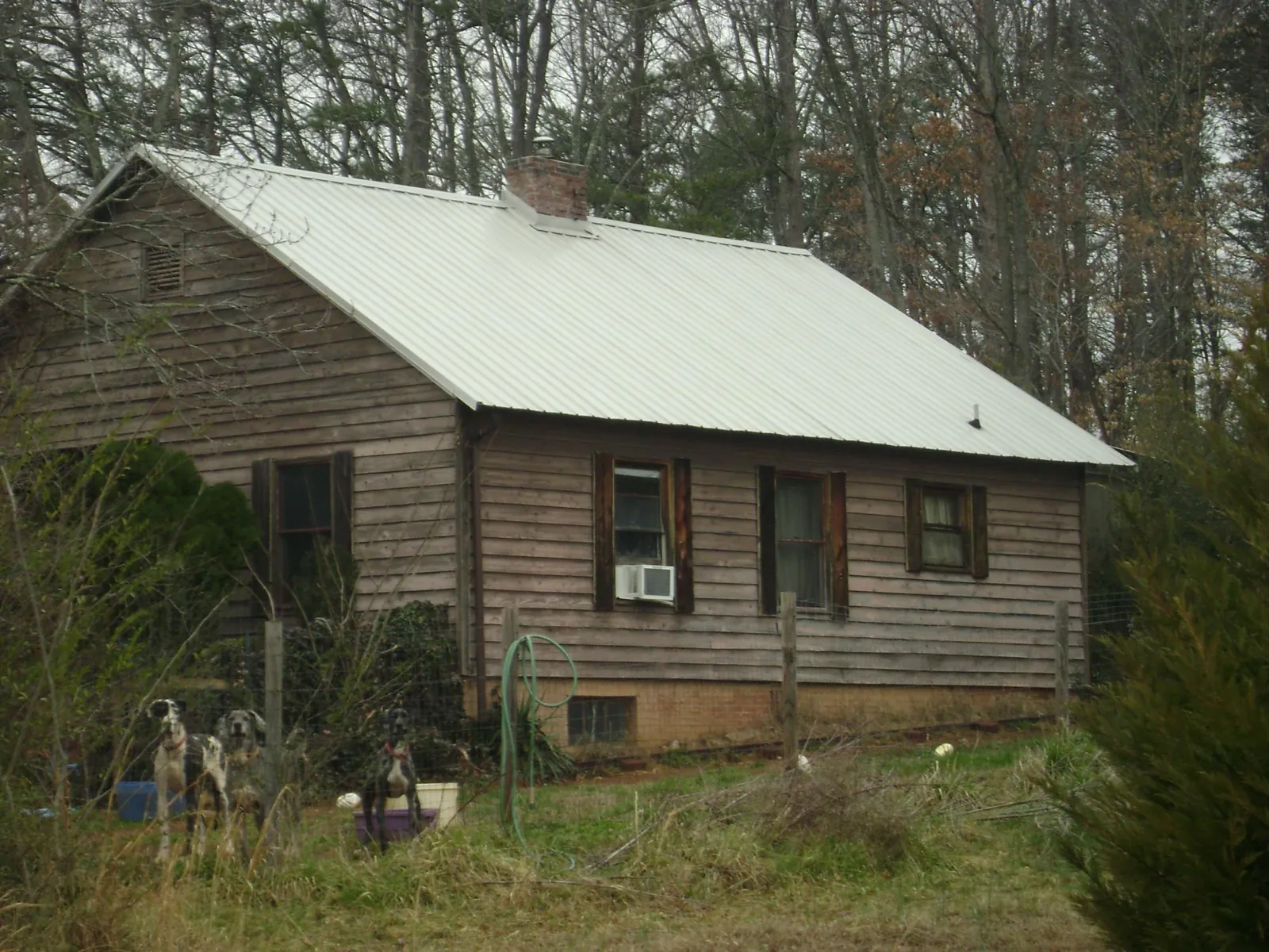 White metal roof on an old wood sided farmhouse, from a Metal Roof Installation job in Ama